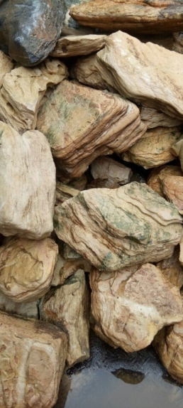 Quảng cáo
