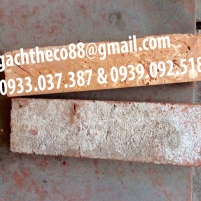 CẮT PHẦN RUỘT