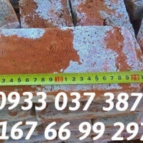   GACH CO VIÊN MÀU ĐỎ + VÔI TRẮNG
