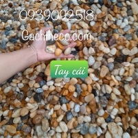 SỎI ĐA MÀU